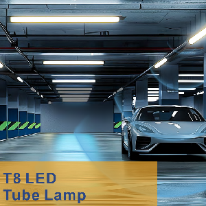 T8 Tube Lamp