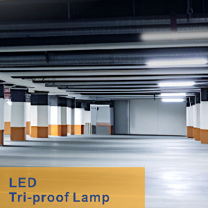 TRI-PROOF LAMP